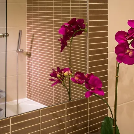 D_loft Downtown Daire *